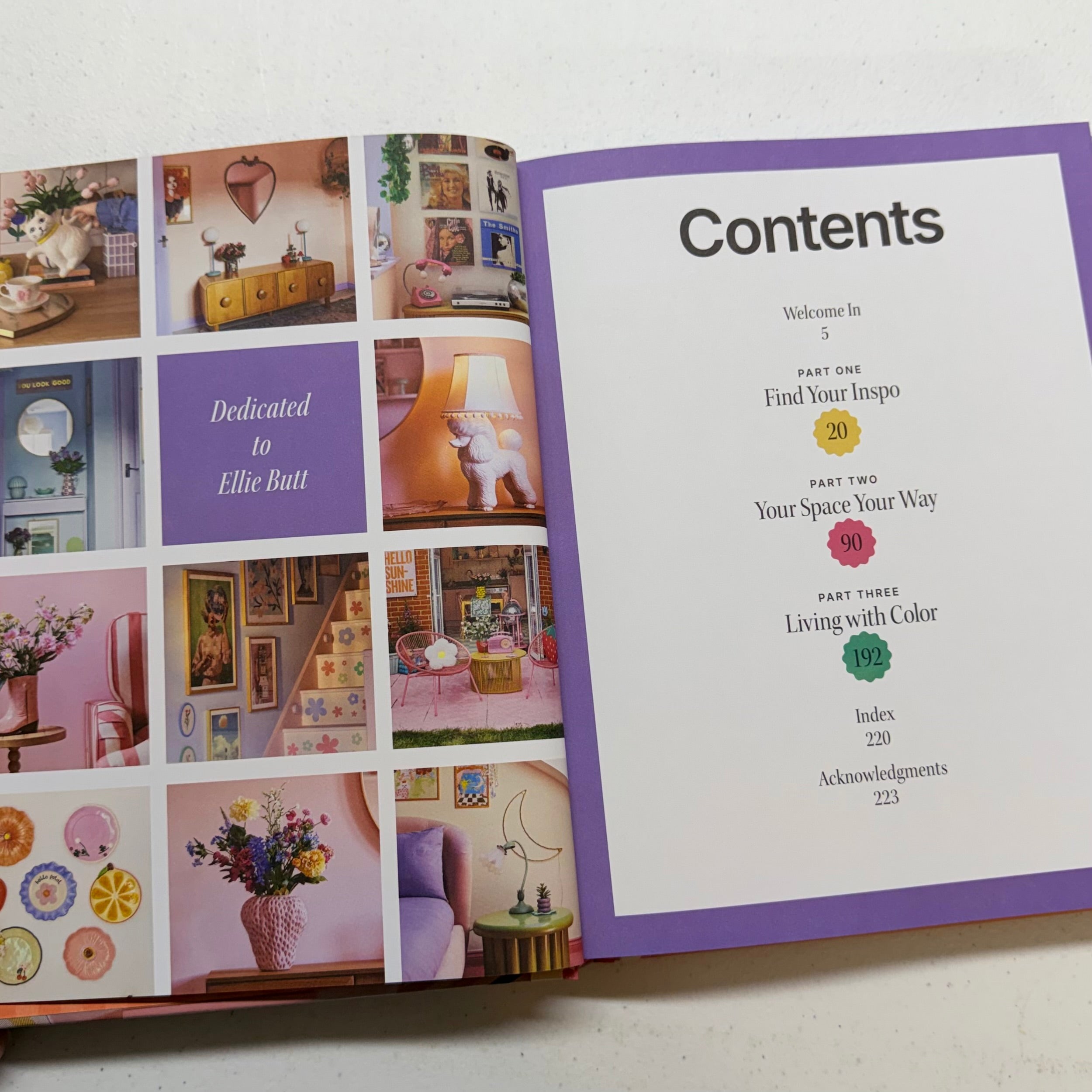 Dopamine Decor Book $28