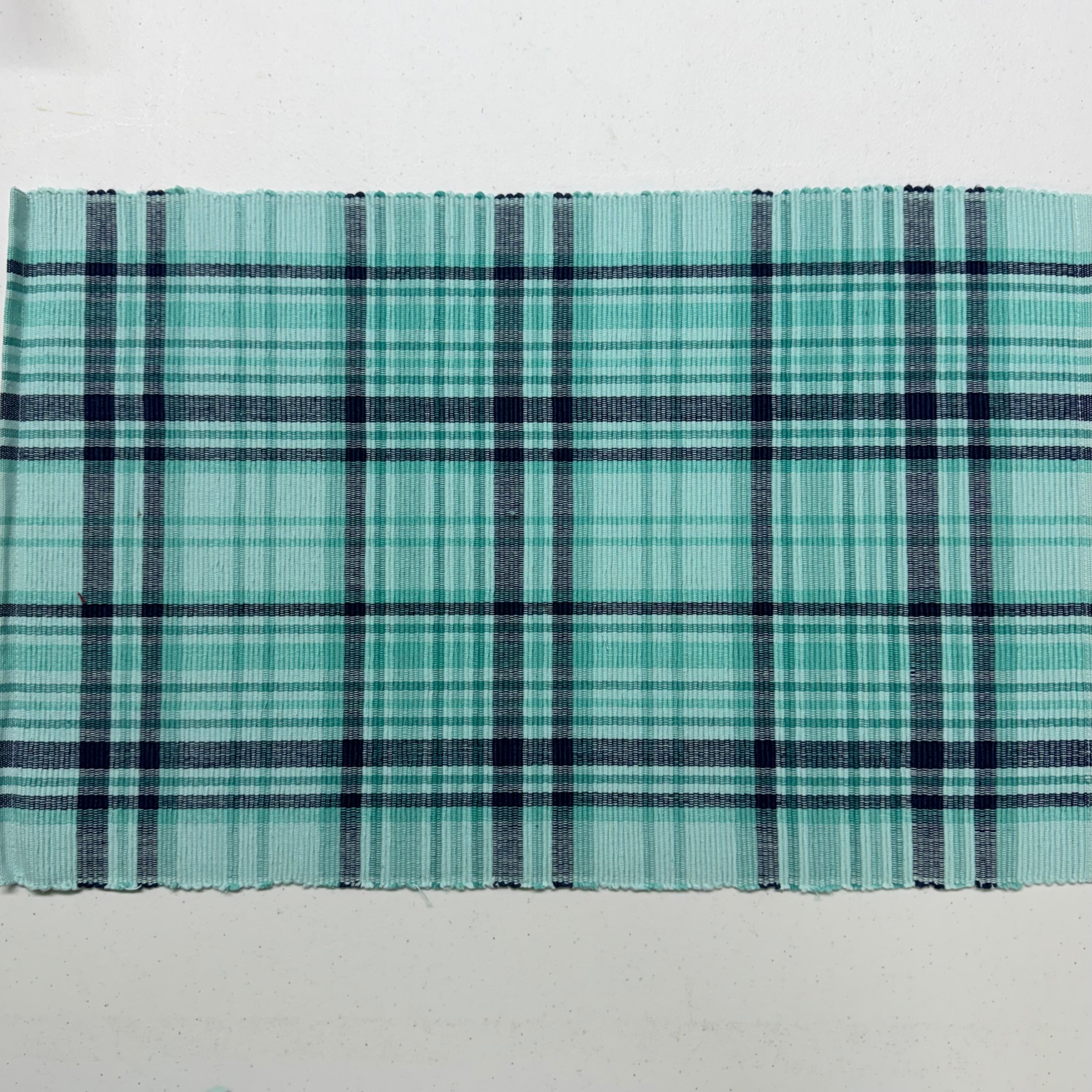 Aqua Plaid Placemats $35