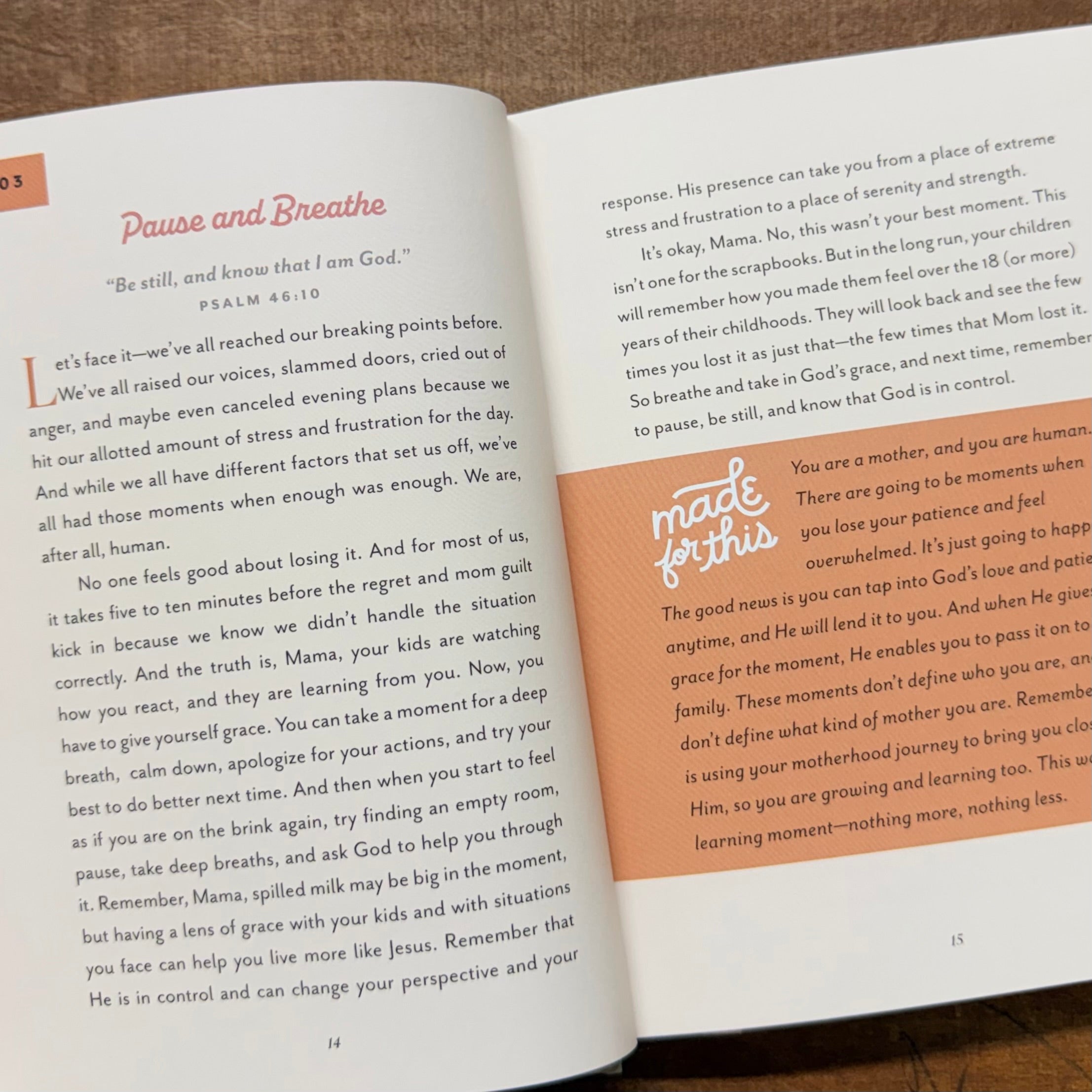 You Are Made For This Book $16