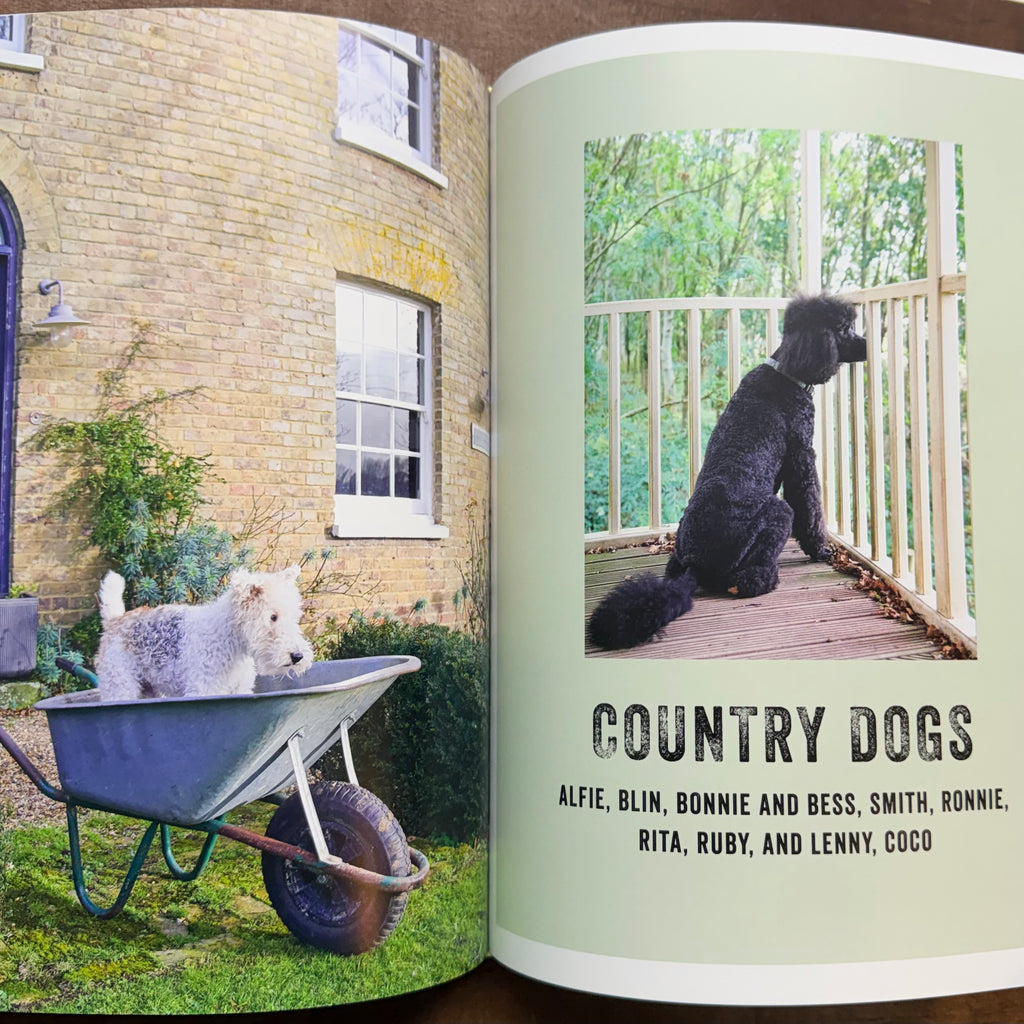 Cool Dogs, Cool Homes Book $45
