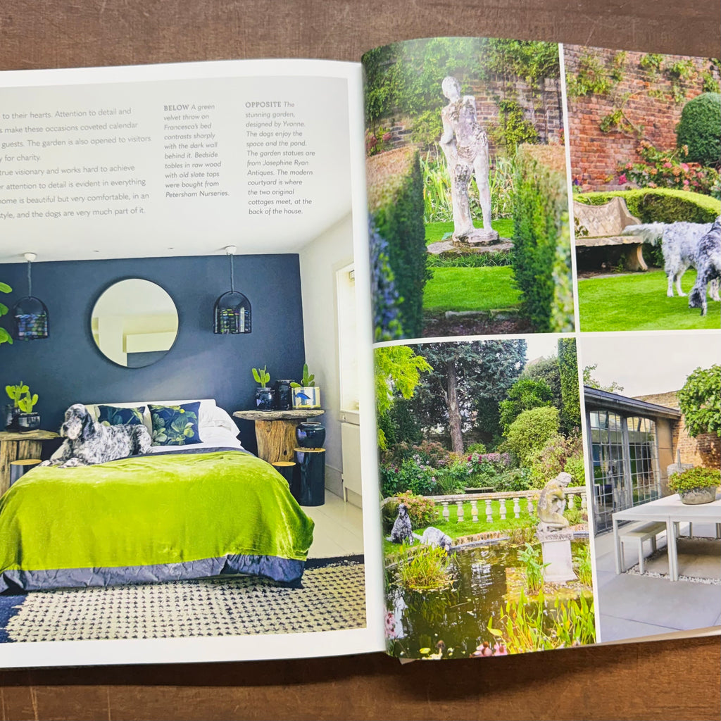Cool Dogs, Cool Homes Book $45
