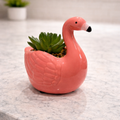Flamingo Succulent Ceramic Decor $20