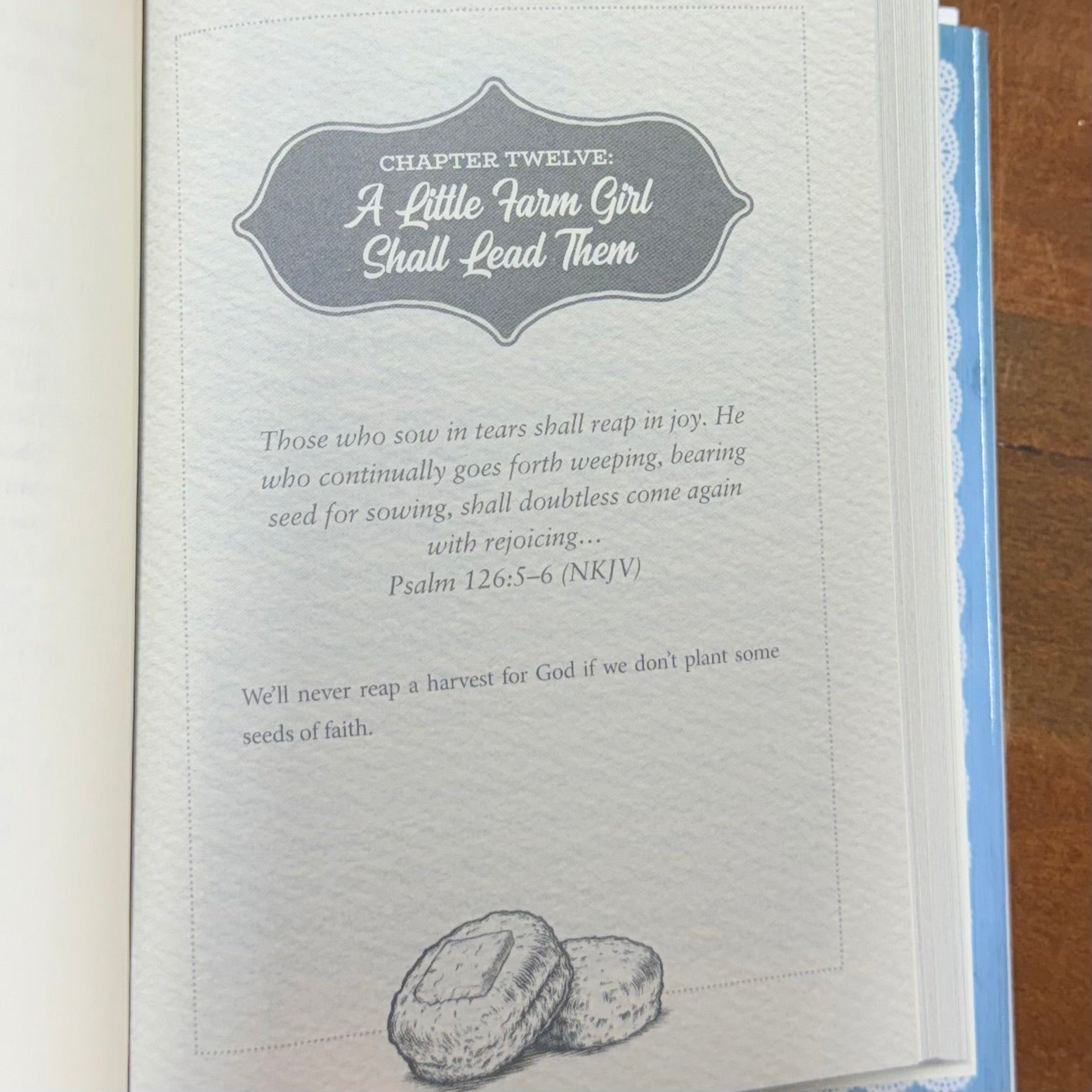 Our Daily Biscuit Devotional Book $17