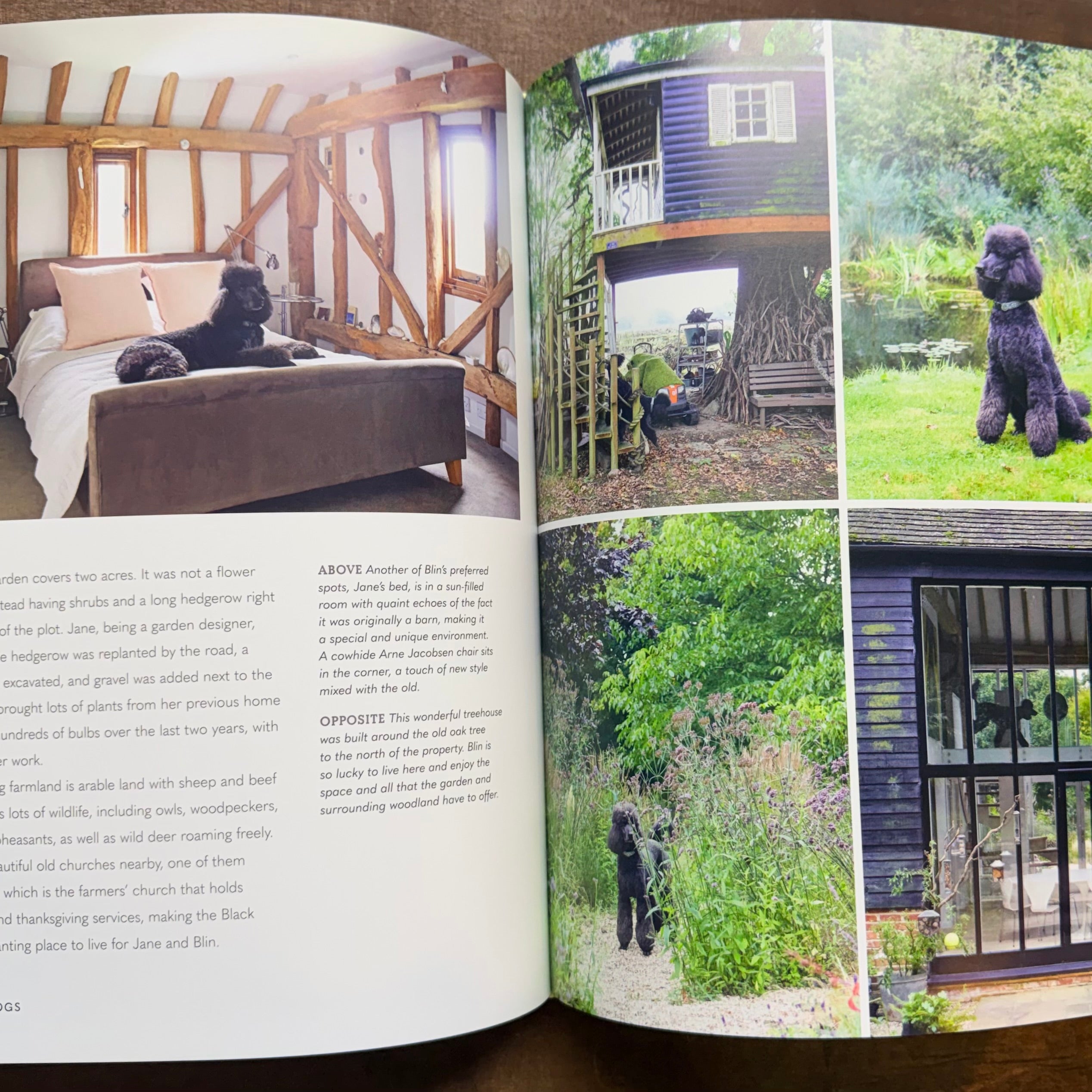 Cool Dogs, Cool Homes Book $45