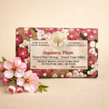 Japanese Plum Bar Soap $10