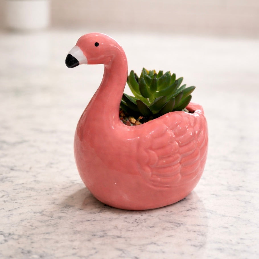 Flamingo Succulent Ceramic Decor $20