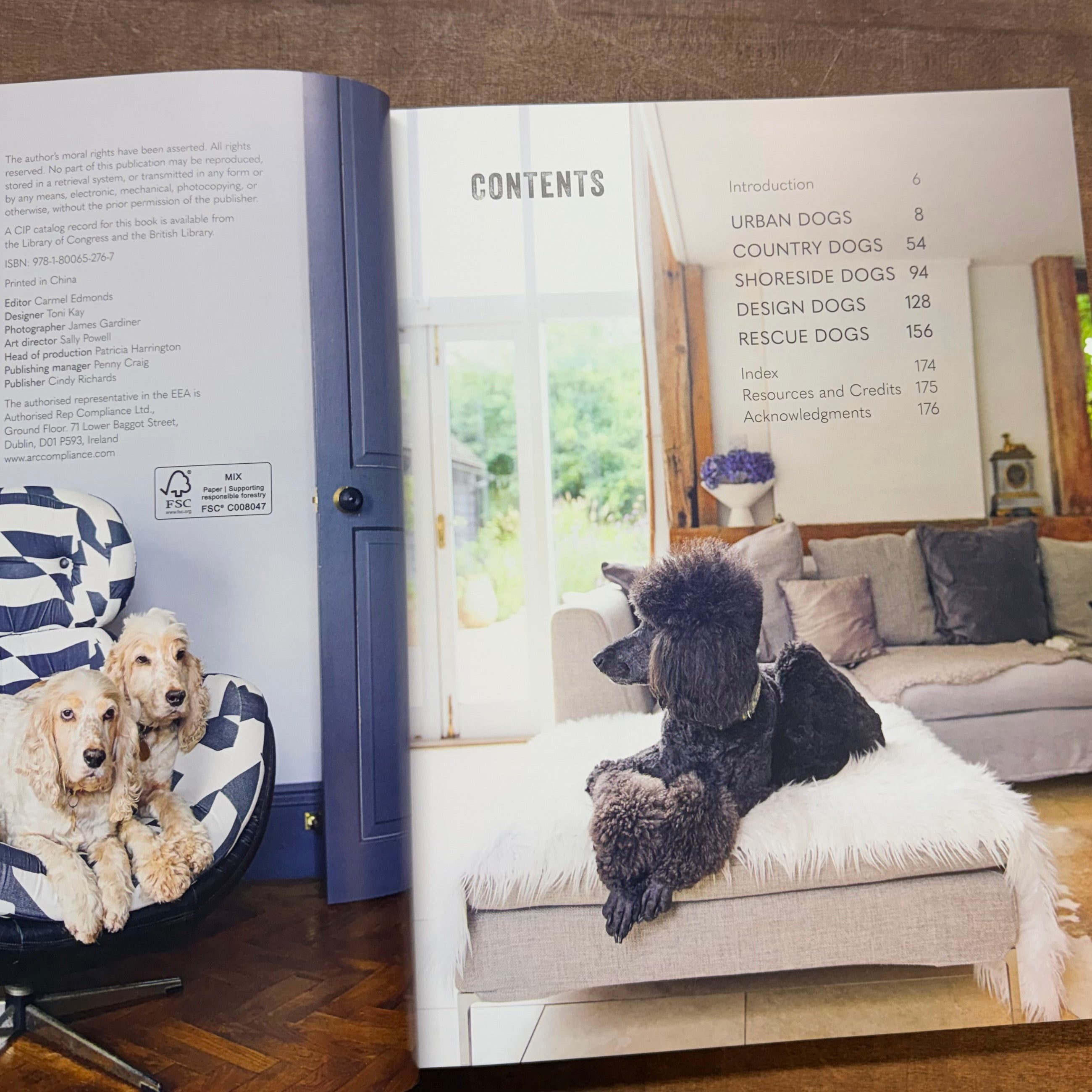 Cool Dogs, Cool Homes Book $45