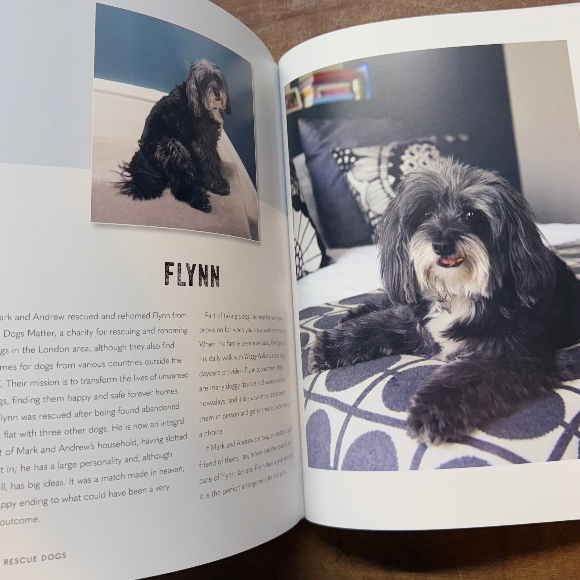 Cool Dogs, Cool Homes Book $45