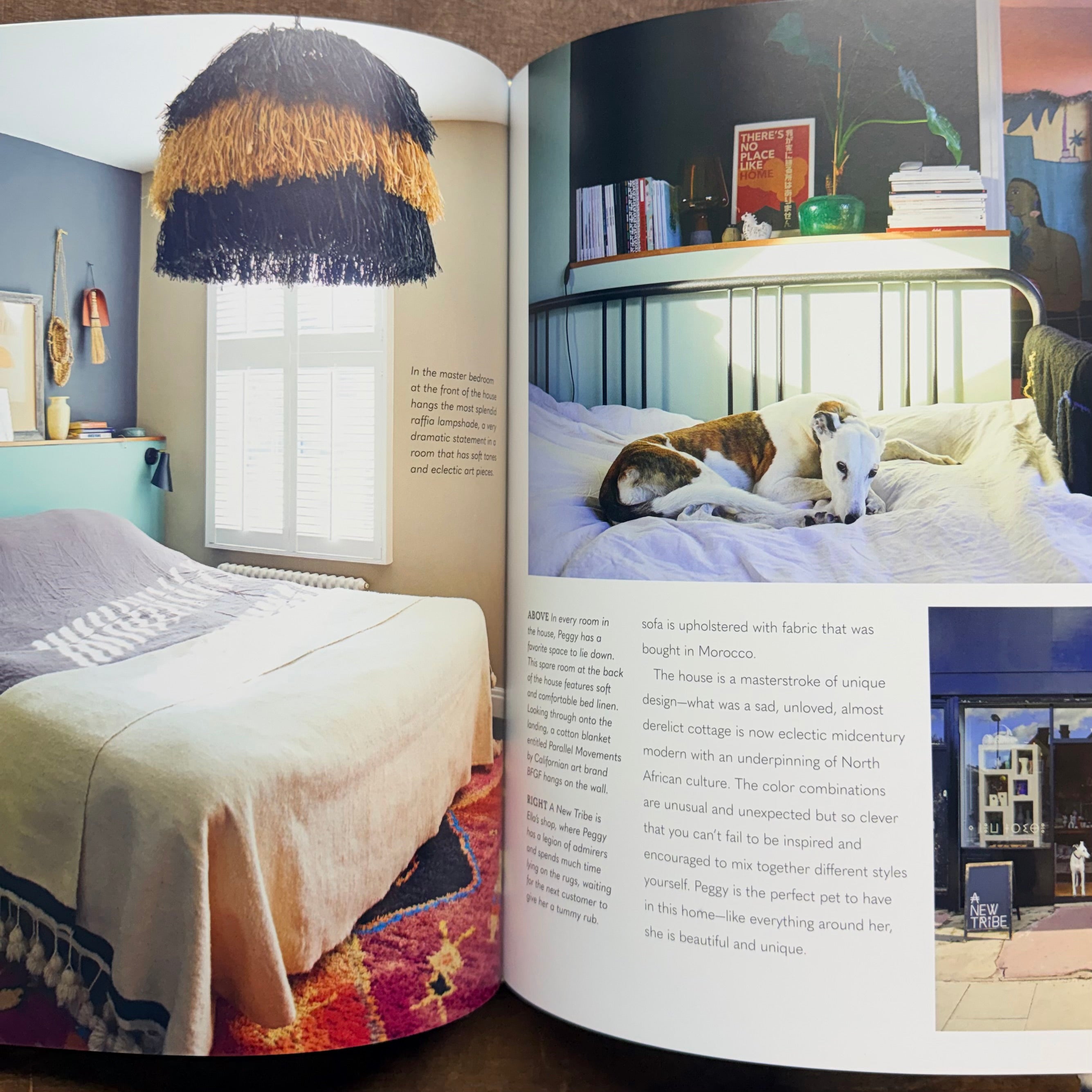 Cool Dogs, Cool Homes Book $45
