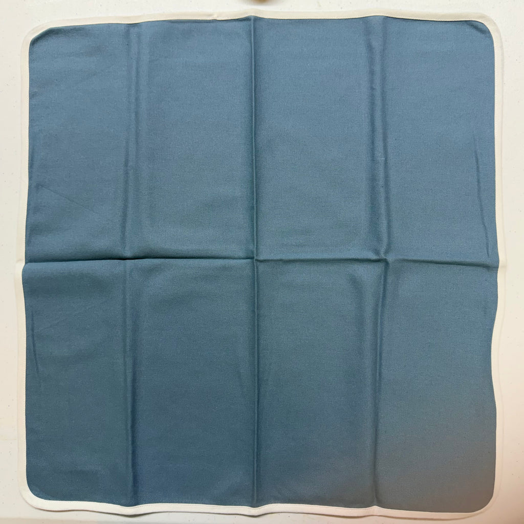 Blue with White Edge Cloth Napkins $30