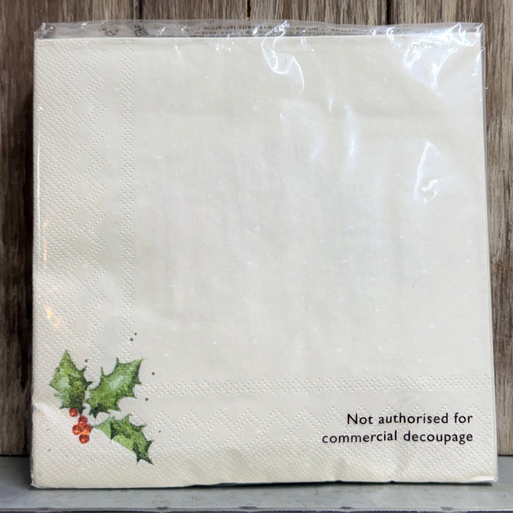 Winter Birds Paper Luncheon Napkins $6